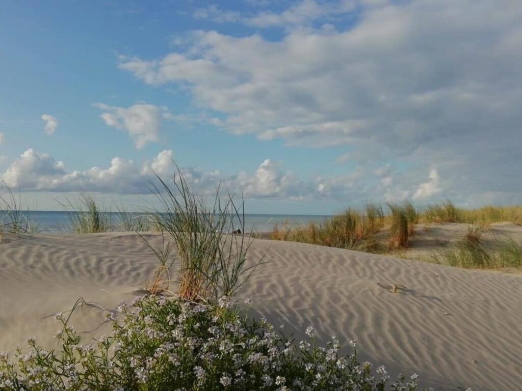 Superbe Apt Cosy, 50M De La Plage, 4 Pers, Vue Cote Mer フォール・マオン・プラージュ エクステリア 写真